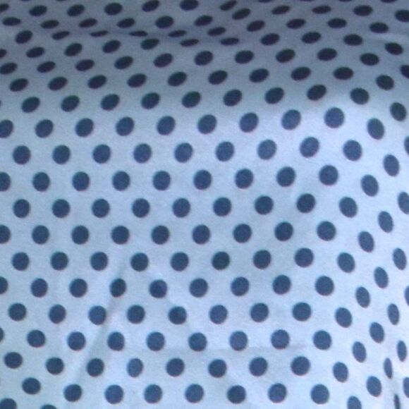 The Westside Blue Silk Polka Dot Midi Slip Dress Size Medium Adjustable Straps - Picture 5 of 15